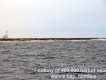 1303230755 - 000 - namibia walvis bay colony of 400k seals